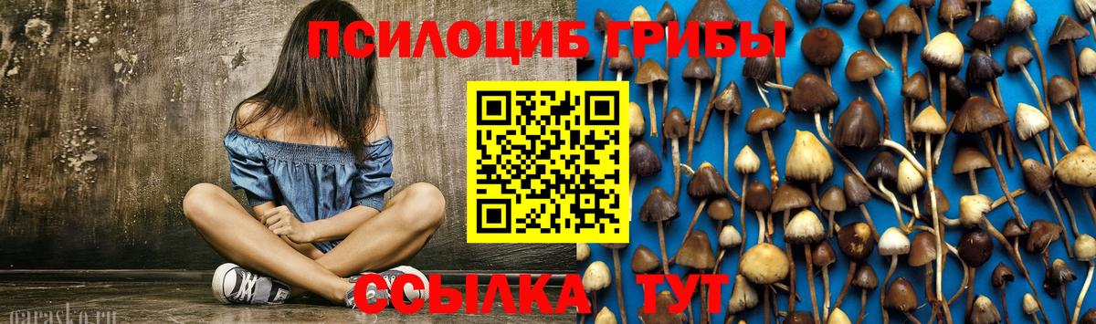 Галлюциногенные грибы GOLDEN TEACHER  Галлюциногенные грибы прущие грибы  Зеленокумск  Вход с VPN 